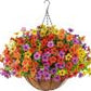 ☀️2026 Summer Hot Sale 49% OFF🌿 Lifelike Artificial Hanging Silk Flower Basket
