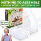 ☀️2026 Summer Hot Sale 49% OFF🐦 Window Bird Feeder with Strong Suction Cups – Watch Wild Birds Up Close