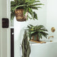 🌿🏡Artificial Hanging Fern Plant – Effortless Greenery for Home & Garden