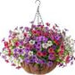 ☀️2026 Summer Hot Sale 49% OFF🌿 Lifelike Artificial Hanging Silk Flower Basket